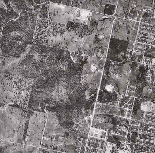Aerial Photo of West Chermside in 1946