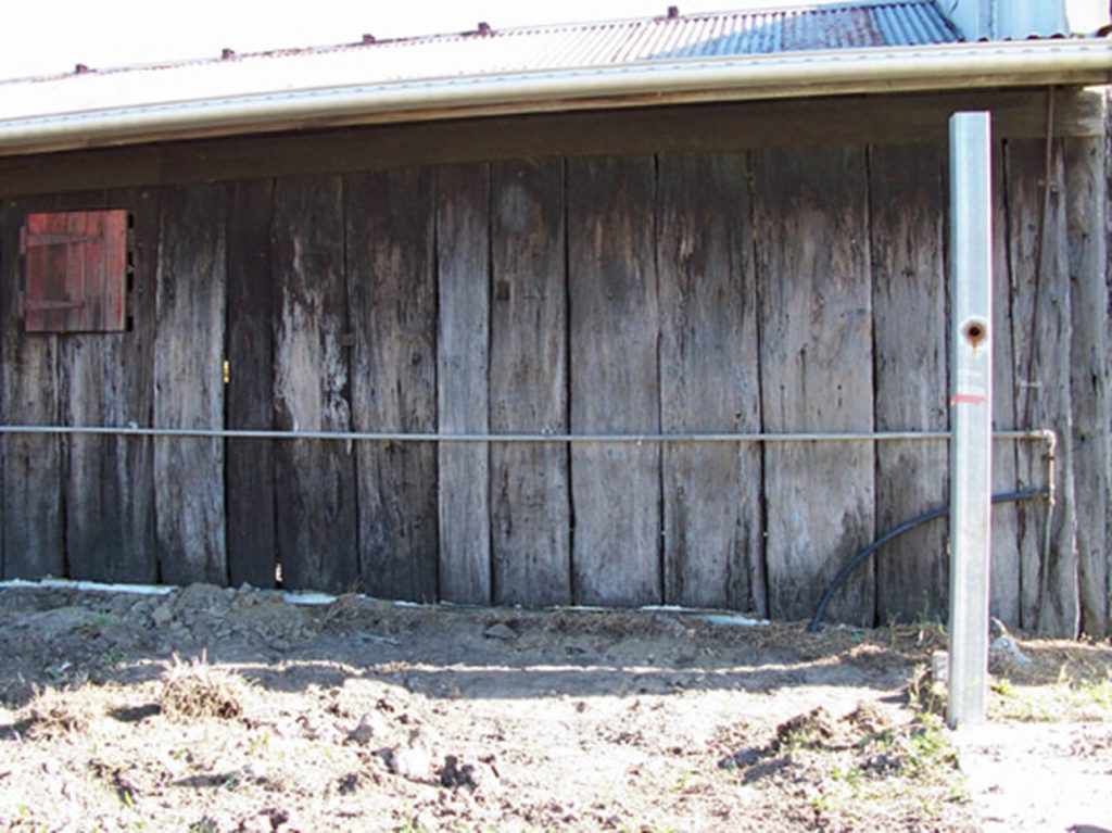 Vellnagel's Shop Wall